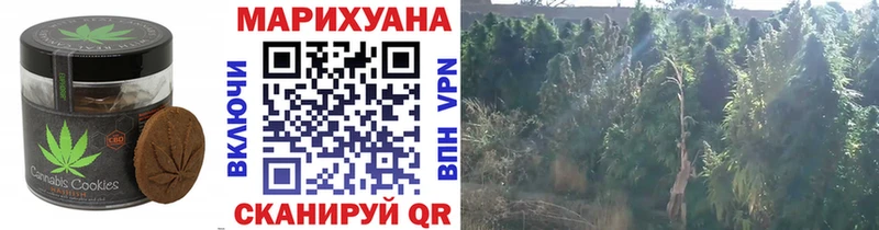Печенье с ТГК конопля  гидра ссылка  Северск  как найти закладки 