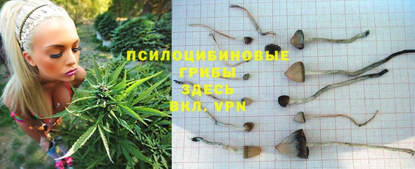 кокс Зерноград