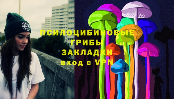стафф Зеленодольск