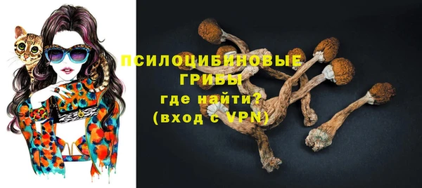 стафф Зеленодольск