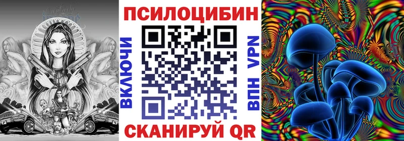где купить наркоту  KRAKEN как войти  Галлюциногенные грибы GOLDEN TEACHER  Северск 